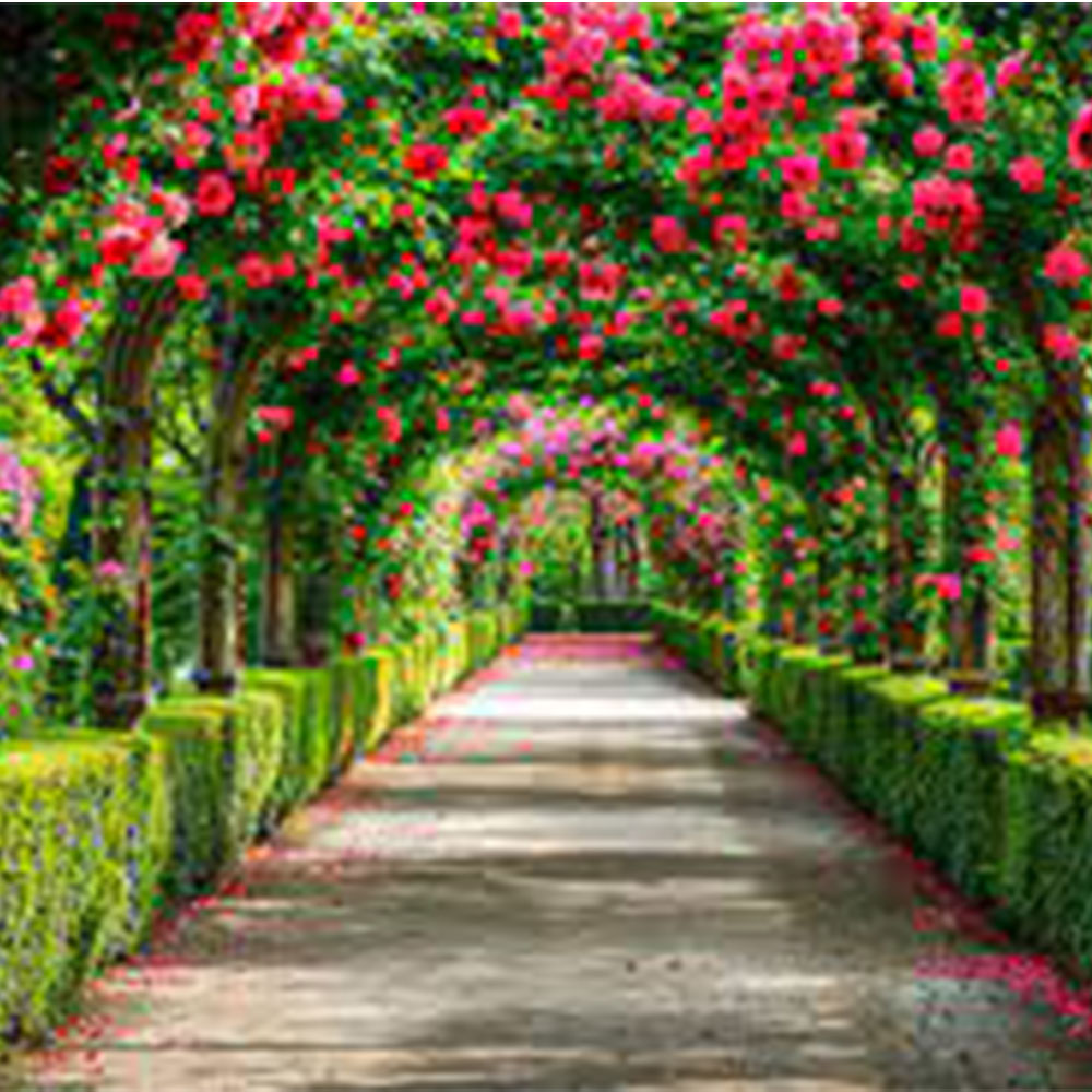 عطر دست ساز زنانه گاردن بریز پی وی پرفیوم